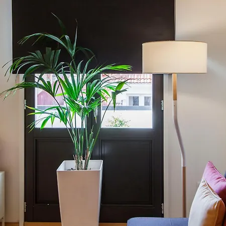 Apartment Local